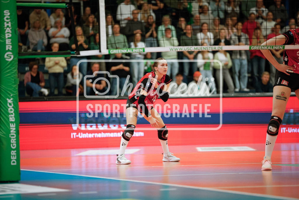 Volleyball I Frauen I Saison 2025-2026 I Bundesliga I Playoff-Viertelfinale 2 I USC Münster - Dresdner SC-120 | Emma Grome (4, Dresdner SC) Wartet auf den nächsten Aufschlag des Gegners.  - Realisiert mit Pictrs.com