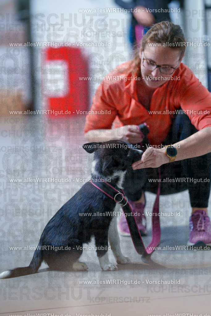 @allesWIRTHgut_Tierfotografie - www.allesWIRTHgut.de - 2604251308-7R503601 | Professionelle Tierfotografie in Mönchengladbach von Daniel Wirth (allesWIRTHgut). Liebevolle & natürliche Bilder von Hunden & Katzen für unvergessliche Erinnerungen.