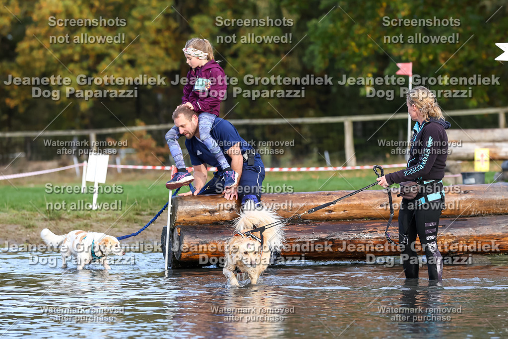 Dog Paparazzi - Strongdog 10-25-8285 | Dog Paparazzi Jeanette Grottendiek Fotografie & Videografie - Realisiert mit Pictrs.com