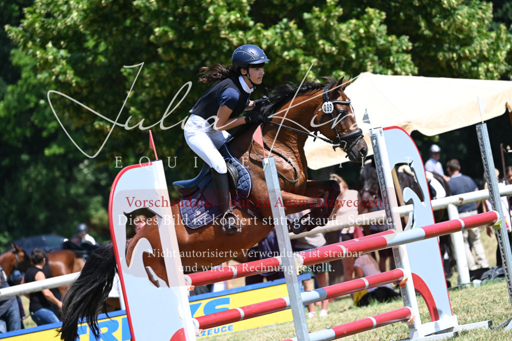 DSC_0821 | Pferde- und Turnierfotografie in Westsachsen. Pferdeportraits, Auftragszeichnungen und intuitive Kunst.