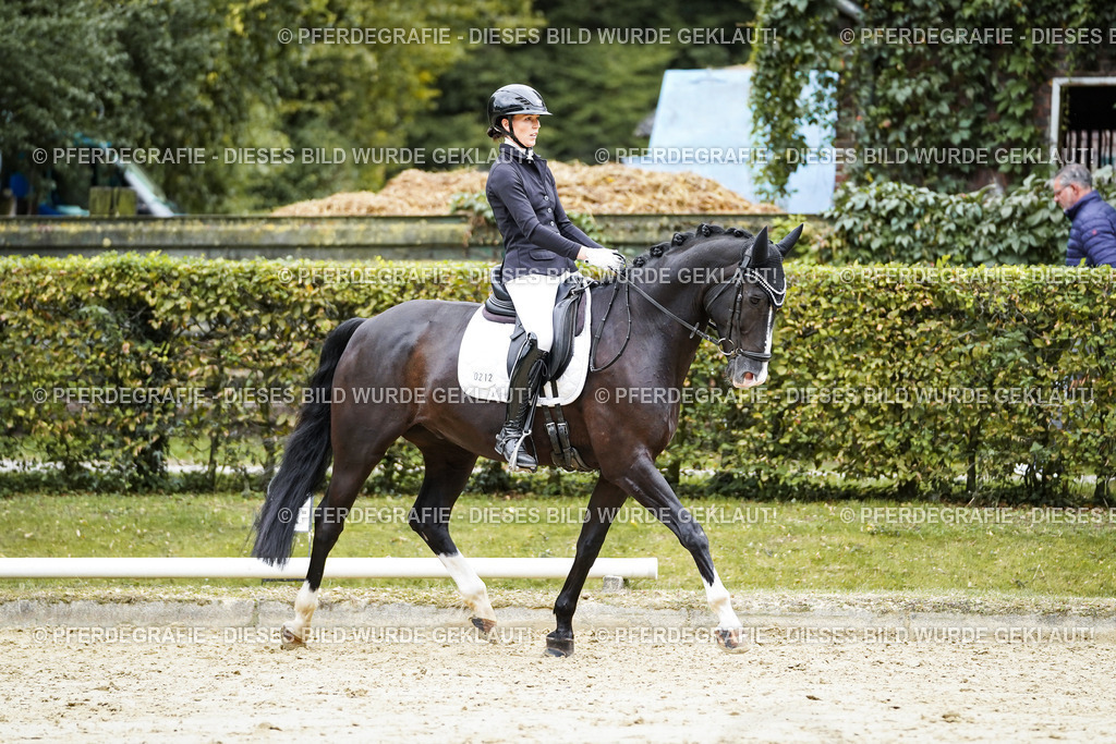 DSC09649 | Pferdegrafie