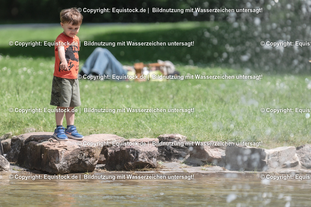 DSC_0197 | equistock