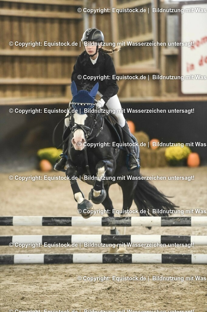 20231029_07_Stilspring-WB-50cm_0054 | Foto: Thomas Hartig