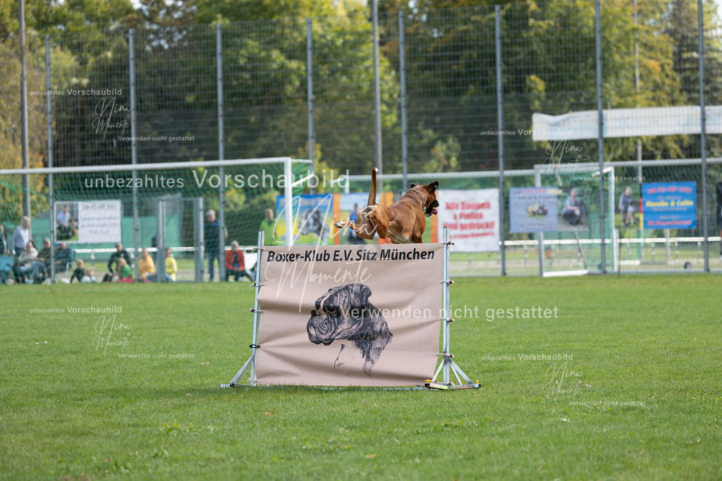 _16A5641 | Einzigartige Fotos von Hunden & Menschen –Actionfotos, Portraits, Vereinsaufnahmen & Paarshootings – authentisch, lebendig & mit Herz.
