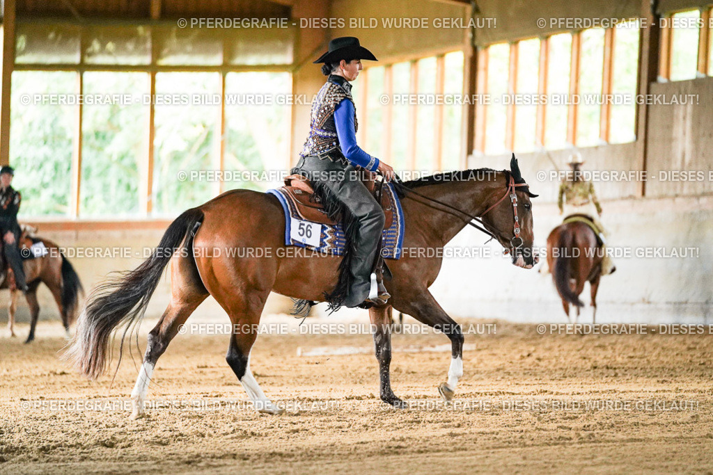 DSC05625 | Pferdegrafie