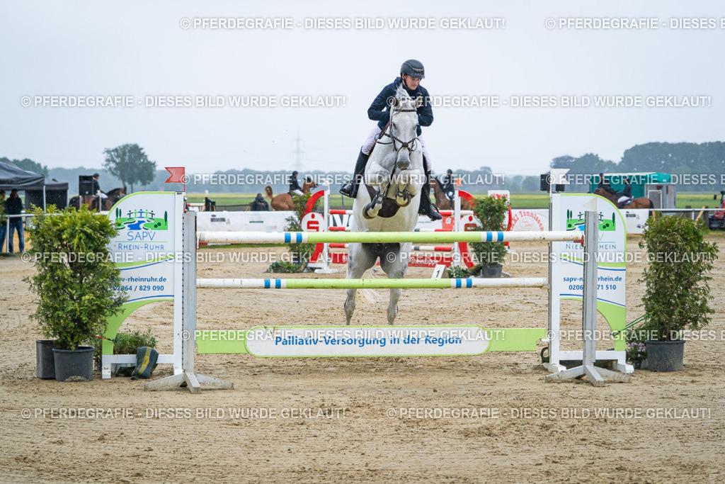 DSC09994 | Pferdegrafie