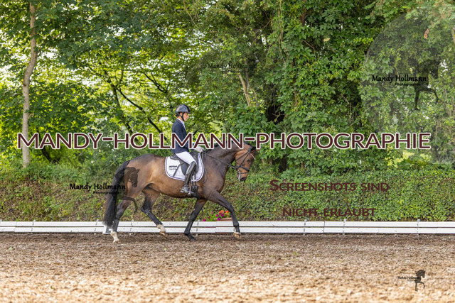 RPF 4 Filsum (64 von 535) | mandyhollmannphotographie