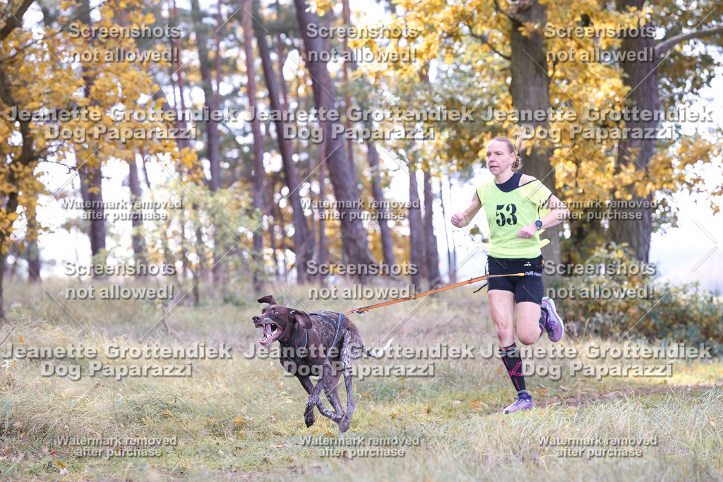 Dog Paparazzi - Elsholz 25 -198 | Dog Paparazzi Jeanette Grottendiek Fotografie & Videografie - Realisiert mit Pictrs.com