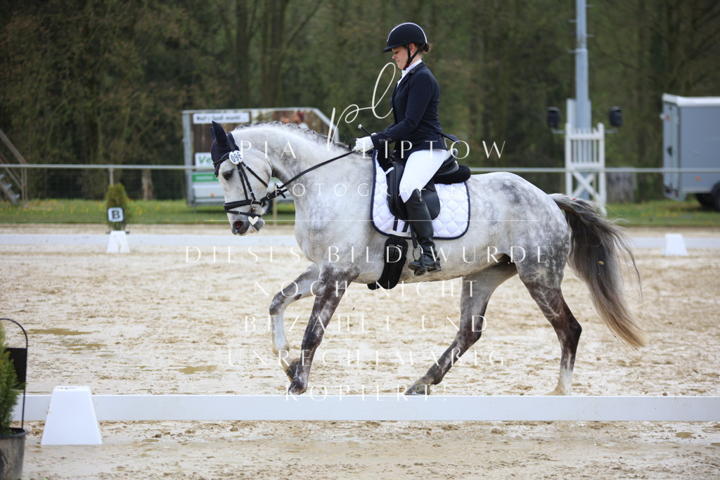 IMGT2863 | pl-fotografie