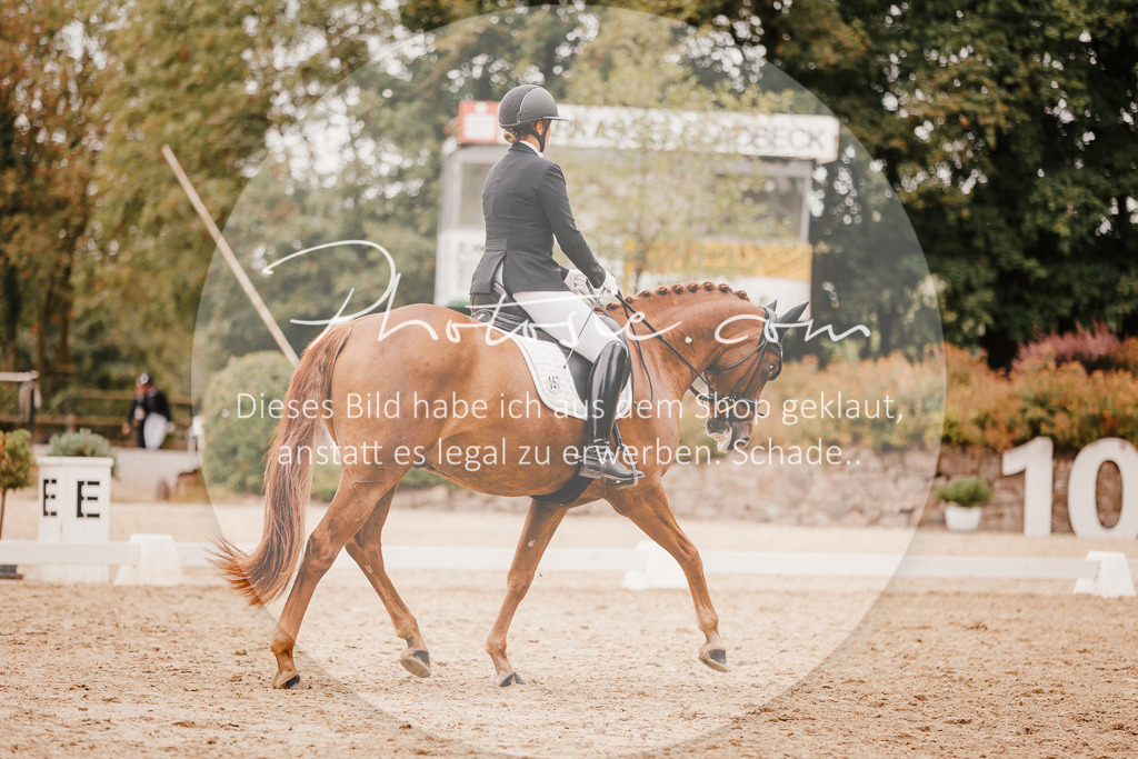3I6A5930 | Stimmungsvolle Portraits und Reitsportfotografie im Ruhrgebiet und im Münsterland.

Pferdefotografie, Hundefotografie, Tierfotografie, Reportagen, Portraits von Tier und Mensch, Turnierfotografie in Bochum, Recklinghausen, Marl, Haltern am See, Dülmen.. - Realisiert mit Pictrs.com