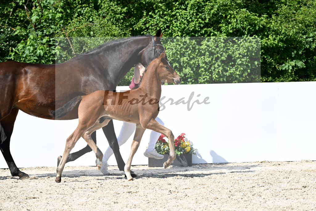 Viva Vitalis x Le Champion_HF_Renz_13251705 | hf-fotografie - Realizzato con Pictrs.com