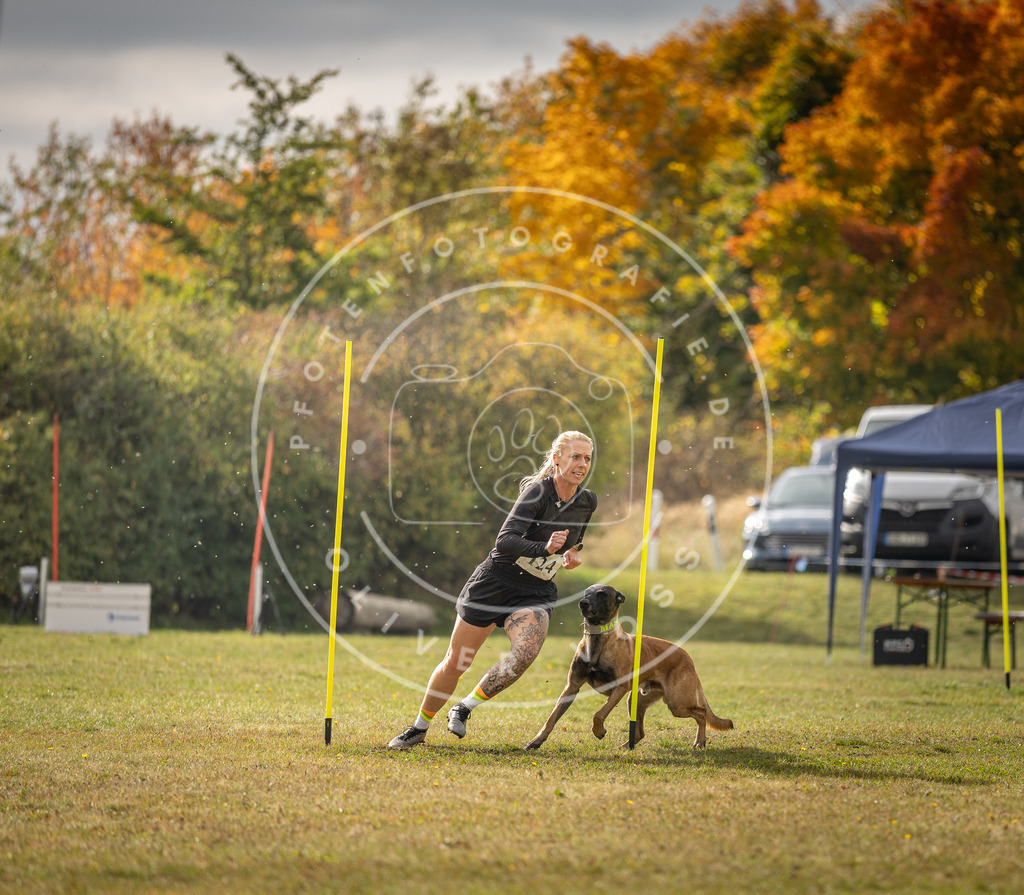 Pfotenfotografie_DV3A7063 | Hundefotografie, Tierfotograf, Pfotenfotografie, Fotoshooting Hund, Hunde Portrait, Hundesport, Hundeportraits, Heideshooting, Hunde, Sportfotograf, Hundefotograf, Turnierhundsport, THS,  - Realisiert mit Pictrs.com
