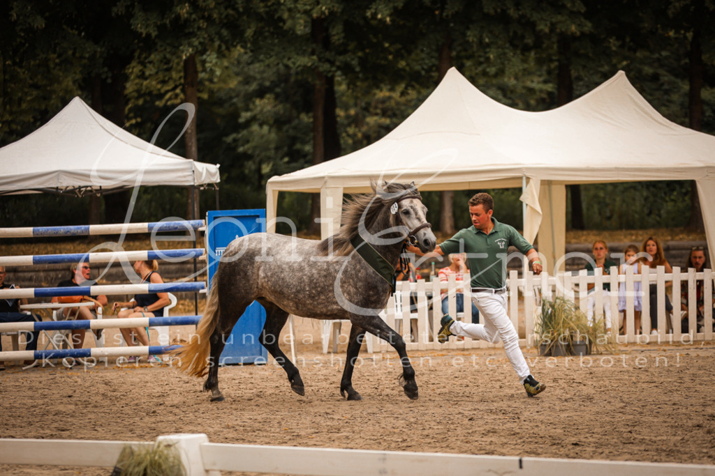 04.So00141 | Leoni Ertmer Photography - Realisiert mit Pictrs.com