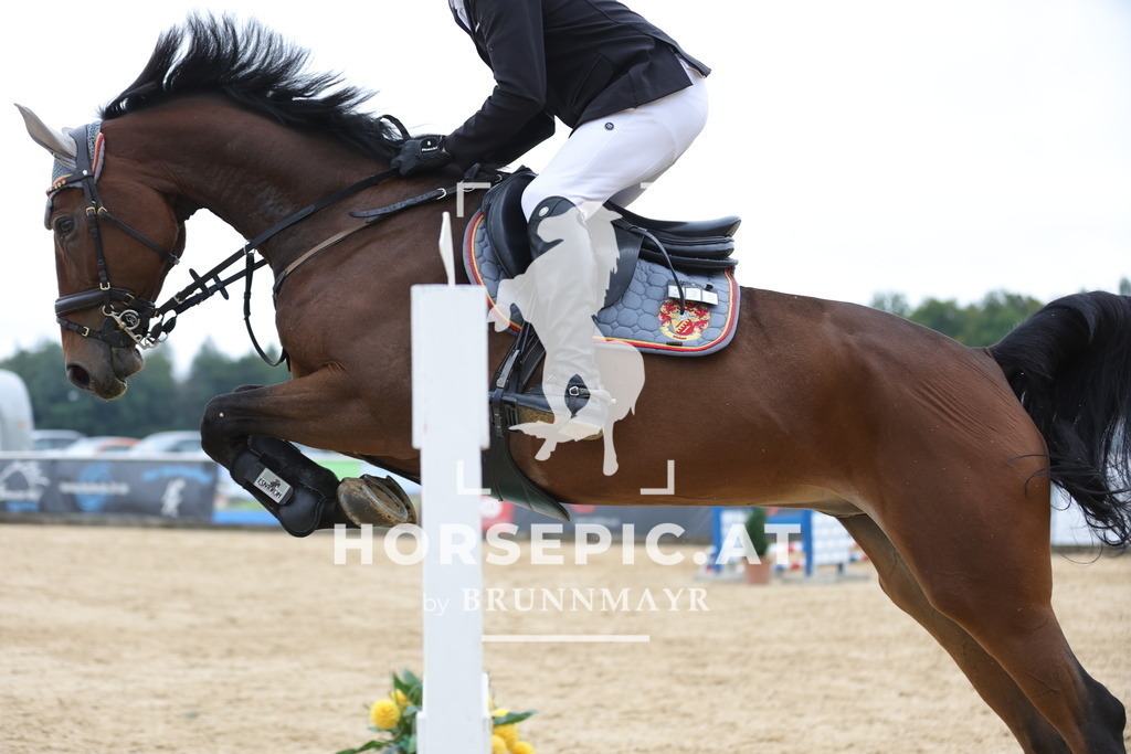 0P6A7246 | Willkommen bei Brunnmayr - Design & Fotografie – Ihrem Spezialisten für Reitturniere und Pferdeveranstaltungen in Oberösterreich, Salzburg und Bayern! Seit über 17 Jahren sind wir leidenschaftlich dabei.