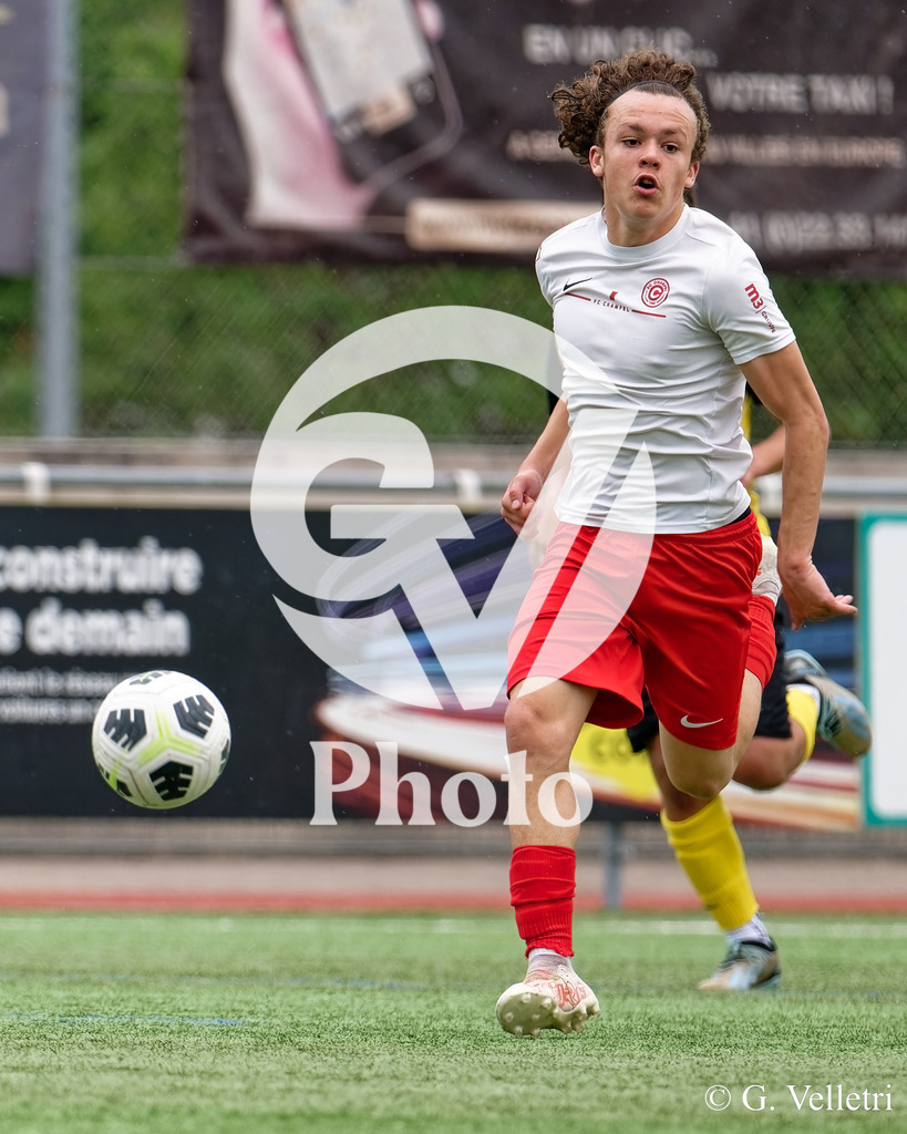 DSC_6655 | Velletri Photo