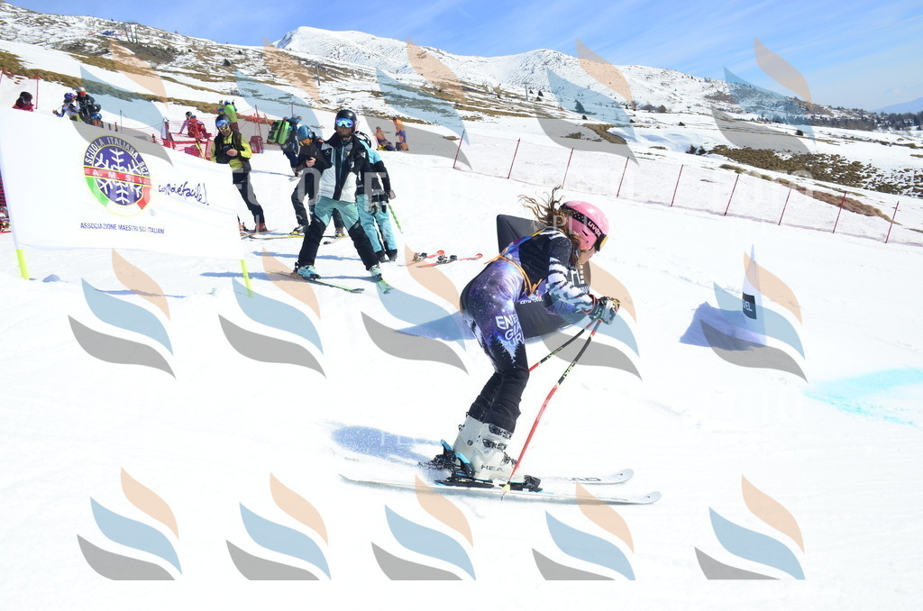 _ELE0904 | holidayphoto