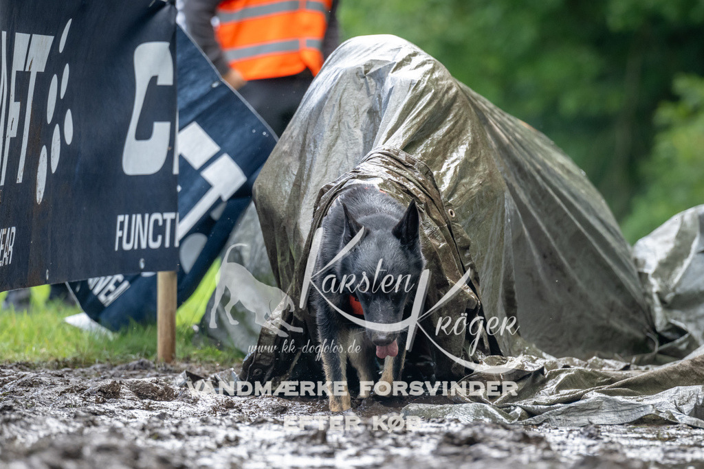 1035_ZZ92314 | kk-dogfotos