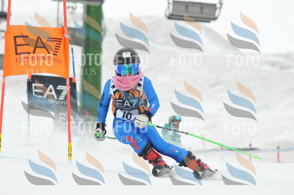 DSC_8781 | holidayphoto