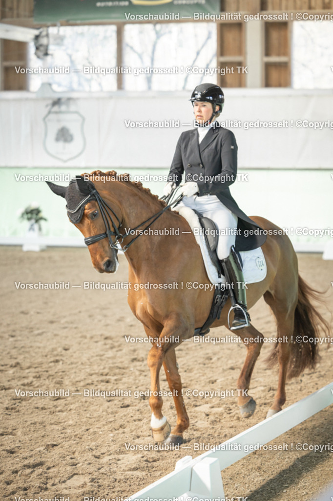 _D5A4564 | Emotionale Pferde- & People-Fotografie rund um Heidelberg, Leimen & Umgebung. Natürliche Fotos von Pferd, Mensch & Familie. Jetzt Termin sichern!