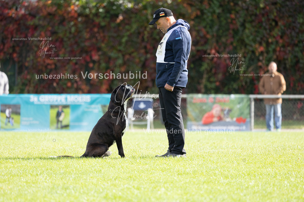 _16A6657 | Einzigartige Fotos von Hunden & Menschen –Actionfotos, Portraits, Vereinsaufnahmen & Paarshootings – authentisch, lebendig & mit Herz.