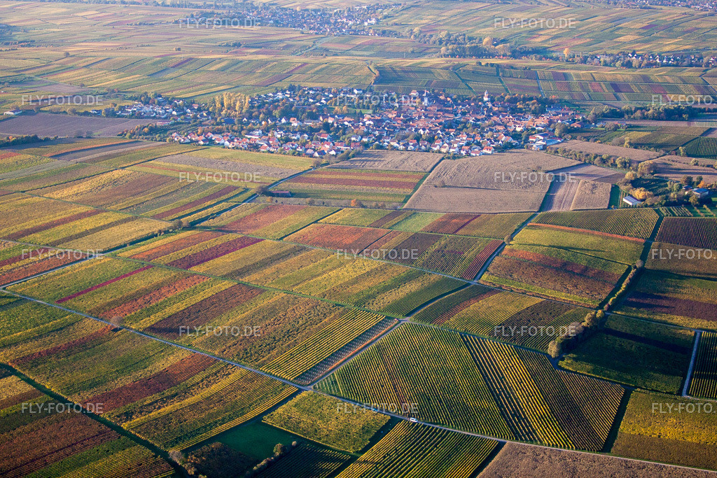 Ortsansicht | Luftbild: Ortsansicht im Ortsteil Mörzheim in Landau im Bundesland Rheinland-Pfalz in Deutschland. Foto: IMG_60584.jpg vom 24.10.2013 durch Werner Riehm/FLY-FOTO.de - Realisiert mit Pictrs.com
