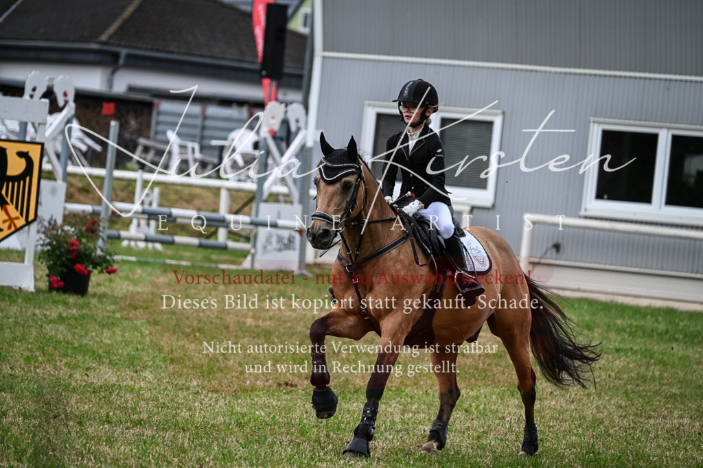 DSC_8585 | Pferde- und Turnierfotografie in Westsachsen. Pferdeportraits, Auftragszeichnungen und intuitive Kunst.