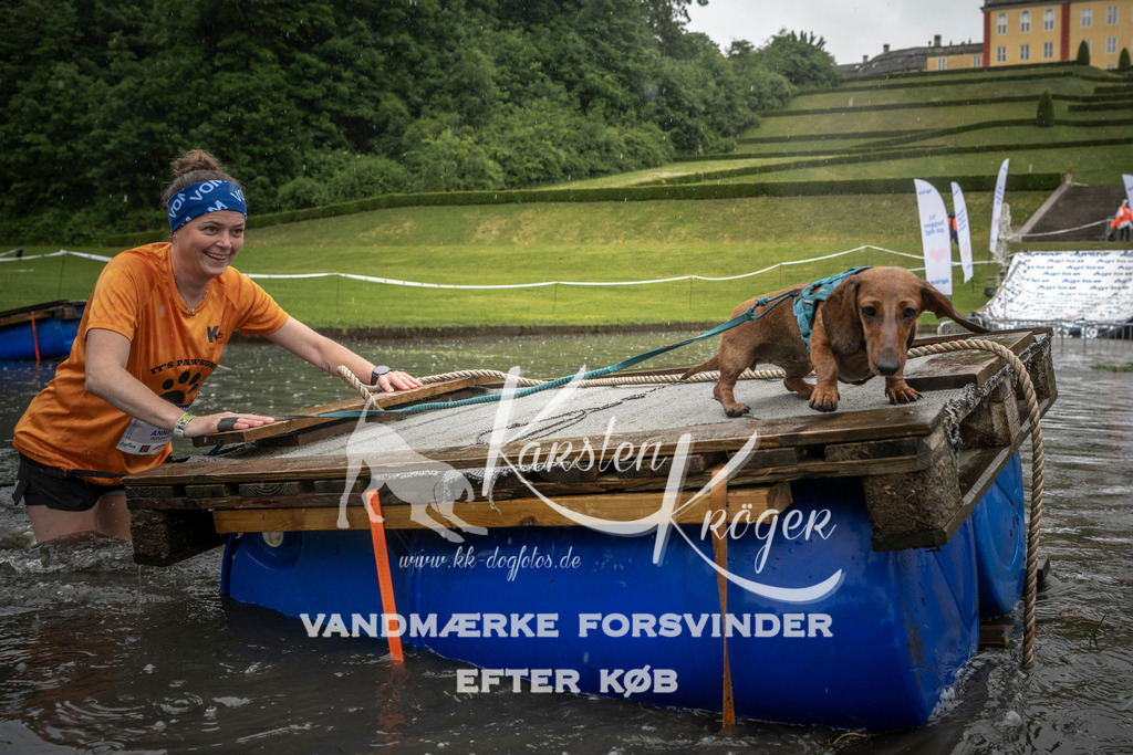 1412_ZZ99389 | kk-dogfotos