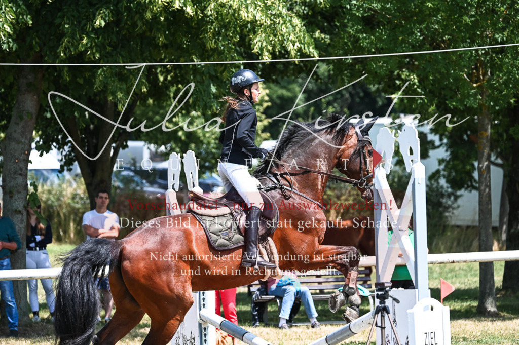 DSC_9867 | Pferde- und Turnierfotografie in Westsachsen. Pferdeportraits, Auftragszeichnungen und intuitive Kunst.