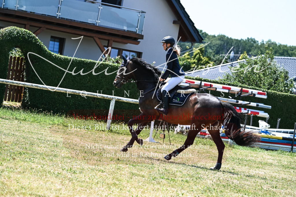 DSC_0103 | Pferde- und Turnierfotografie in Westsachsen. Pferdeportraits, Auftragszeichnungen und intuitive Kunst.
