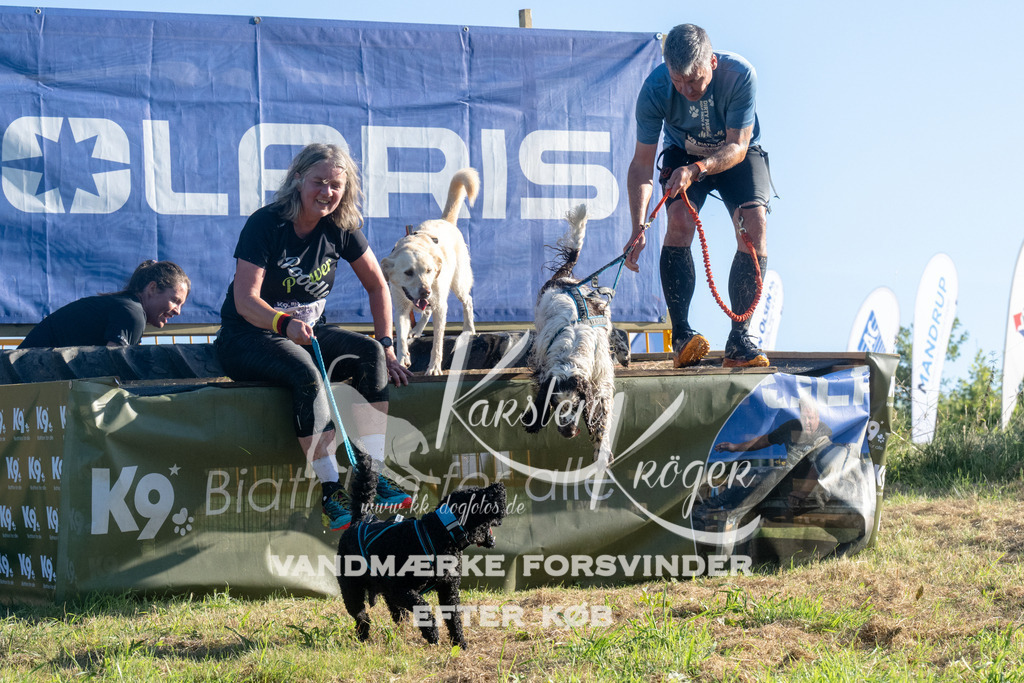 0833_ZZ94249 | kk-dogfotos