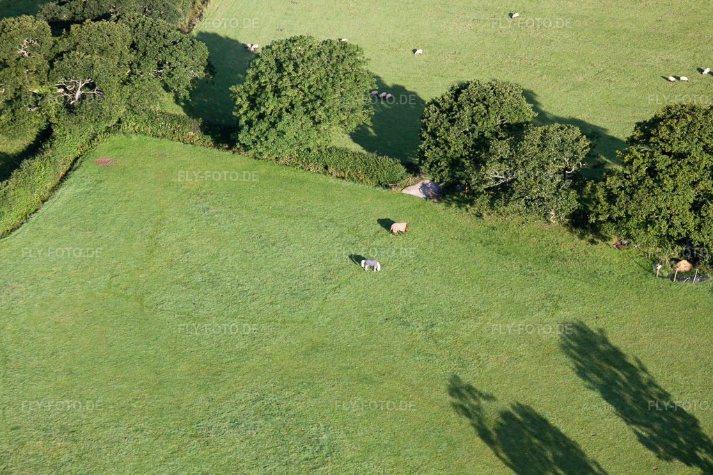 Luftbild: Ortsansicht in Abbotskerswell im Bundesland England in Großbritanien. Foto: IMG_19729.jpg vom 25.07.2009 durch Werner Riehm/FLY-FOTO.de