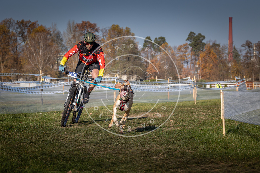 CaniXpix_0L8A6163 | Hundefotografie, Tierfotograf, Pfotenfotografie, Fotoshooting Hund, Hunde Portrait, Hundesport, Hundeportraits, Heideshooting, Hunde, Sportfotograf, Hundefotograf, Turnierhundsport, THS,  - Realisiert mit Pictrs.com