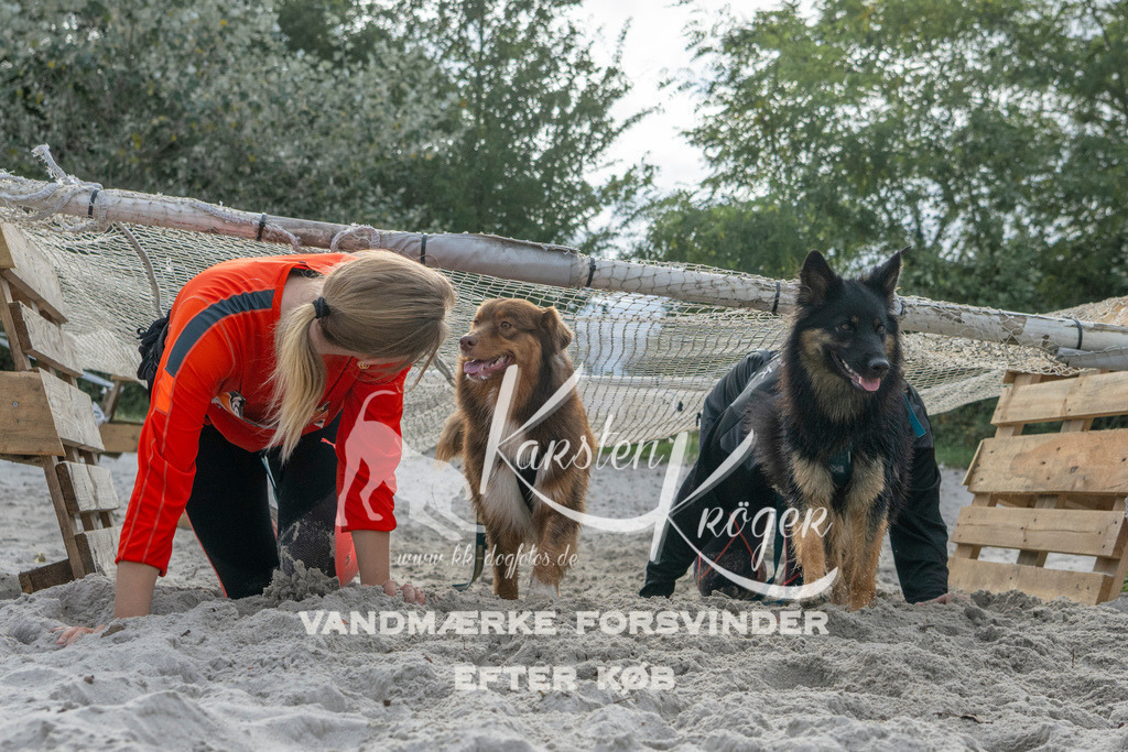 1150_ZZ99375 | kk-dogfotos