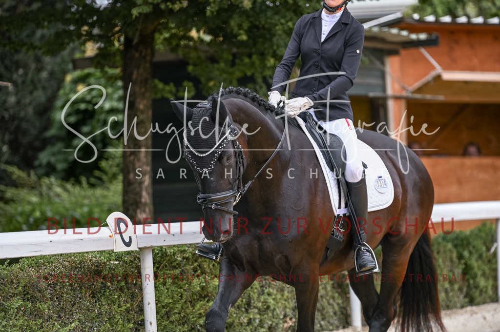 Schugtsche-Aluta25-43.EDressur -122 | Schugtsche Fotografie - Realisiert mit Pictrs.com