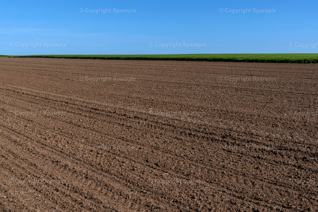 CAR_Agri_Spring_Field29 | Camera height 1,60m - light 4/40° - Realisiert mit Pictrs.com