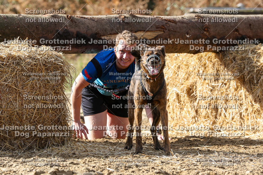 Dog Paparazzi - Strongdog 10-25-5409 | Dog Paparazzi Jeanette Grottendiek Fotografie & Videografie - Realisiert mit Pictrs.com