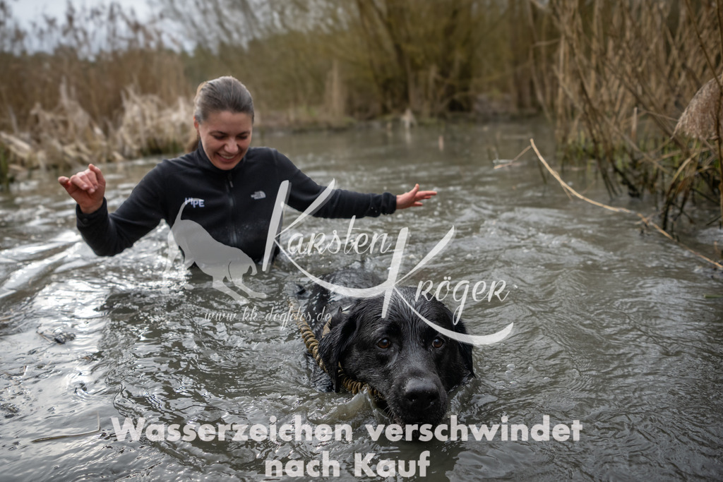 0857_ZZ94538 | kk-dogfotos