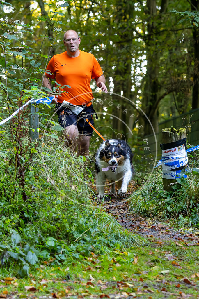 Pfotenfotografie_DV3A7268 | Hundefotografie, Tierfotograf, Pfotenfotografie, Fotoshooting Hund, Hunde Portrait, Hundesport, Hundeportraits, Heideshooting, Hunde, Sportfotograf, Hundefotograf, Turnierhundsport, THS,  - Realisiert mit Pictrs.com