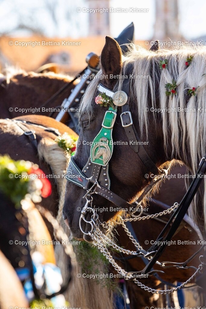 LBT25-965 | foto-bettina-krinner - Realisiert mit Pictrs.com