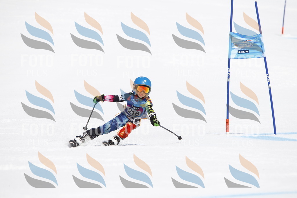 _U3G5568 | holidayphoto