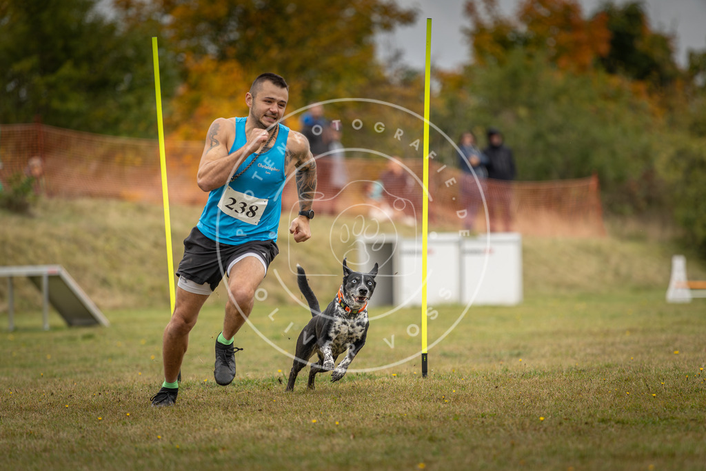 Pfotenfotografie_DV3A5339 | Hundefotografie, Tierfotograf, Pfotenfotografie, Fotoshooting Hund, Hunde Portrait, Hundesport, Hundeportraits, Heideshooting, Hunde, Sportfotograf, Hundefotograf, Turnierhundsport, THS,  - Realisiert mit Pictrs.com