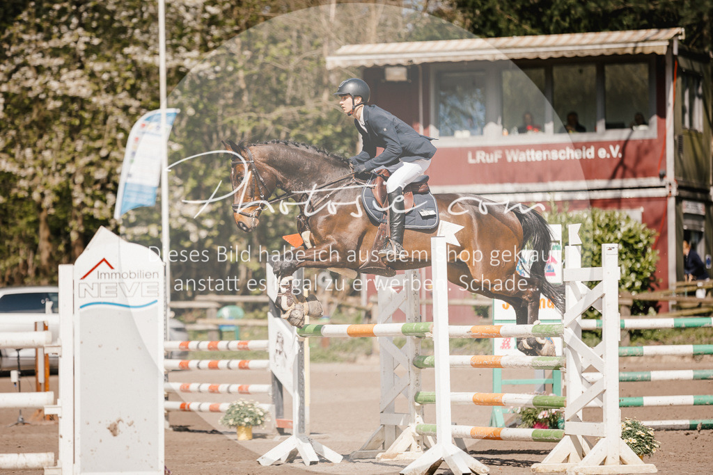 3I6A4070 | Stimmungsvolle Portraits und Reitsportfotografie im Ruhrgebiet und im Münsterland.

Pferdefotografie, Hundefotografie, Tierfotografie, Reportagen, Portraits von Tier und Mensch, Turnierfotografie in Bochum, Recklinghausen, Marl, Haltern am See, Dülmen.. - Realisiert mit Pictrs.com