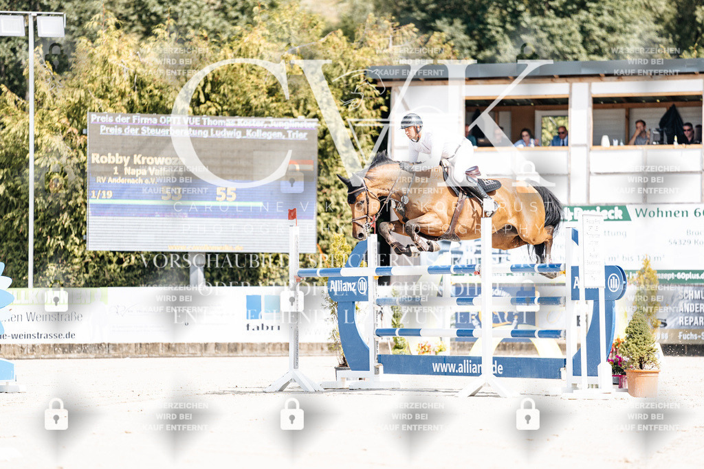 CK908736 | Turnierfotografie Pferdefotografie Trier Rheinland-Pfalz Pferdesport Reitsport Tierfotografie Sportfotografie Pferdevideo Pferdevideografie Equestrianvideography equestrianphotography  - Realisiert mit Pictrs.com