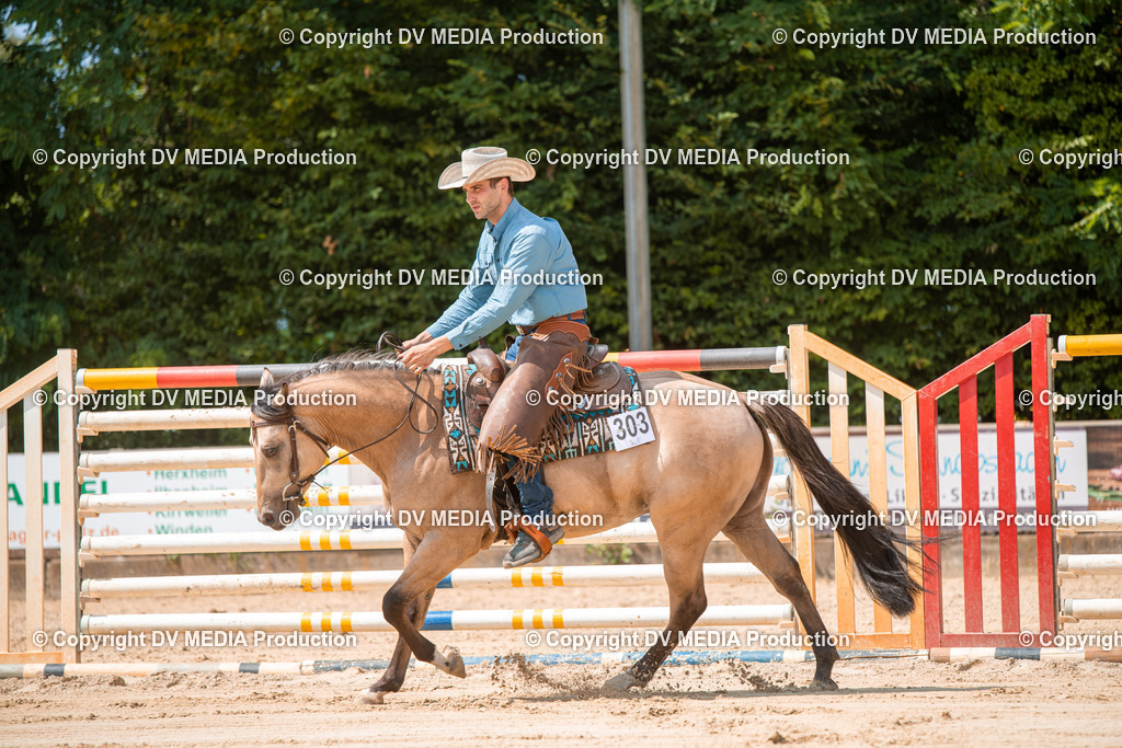 ZS2_8268 | dv-media-shop - Realisiert mit Pictrs.com