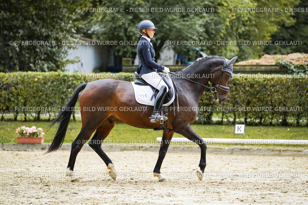 DSC09967 | Pferdegrafie