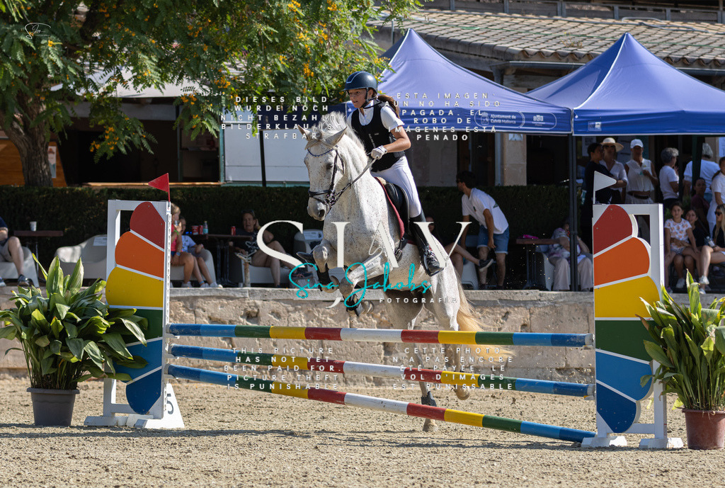 IMG_5121 | s-jay-photography - Realisiert mit Pictrs.com