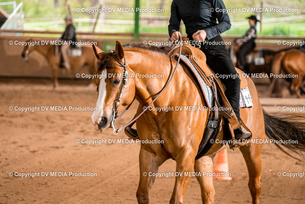 BA400664 | dv-media-shop - Realisiert mit Pictrs.com