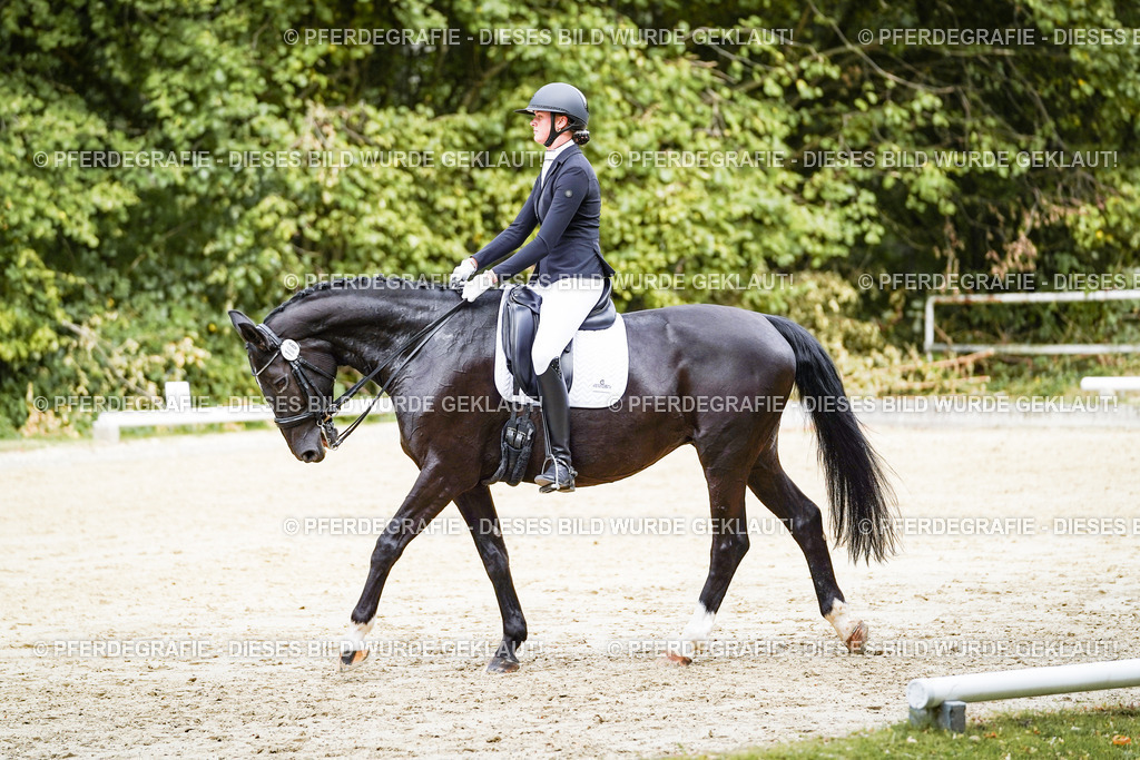 DSC05363 | Pferdegrafie