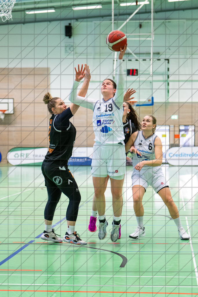 2. DBBL Nord 24/25 | 16.02.2025 | BBC OS vs. Talents BonnRhöndorf | 2. DBBL Nord 24/25 | 16.02.2025 | BBC OS vs. Talents BonnRhöndorf - - - - - CREDIT, www.bullenfotos.de, Martin König, Hörner Weg 40, D-49078 Osnabrück, +4917663732967, Nutzung und Weitergabe nur zu den vereinbarten Zwecken. Presseanfragen an Urheber. Alle Rechte beim Urheber. - - - - - - Realisiert mit Pictrs.com