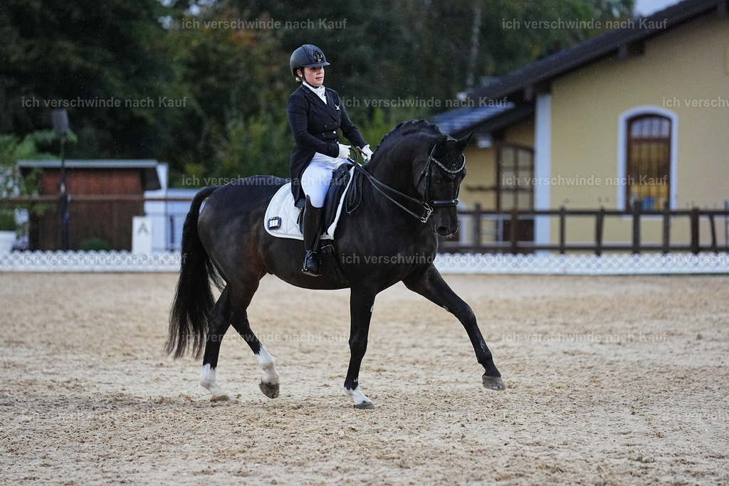 8_2-183-DRESSUR S_  -Marixx-4643 | working equitationturnier fotograf videograf stoibphotography marixx film working equitation deutschland reitsport turnierfotografie eventfotografie equestrian events